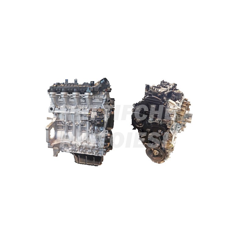Ford 1600 HDI 16v Motore Revisionato completo HHDB