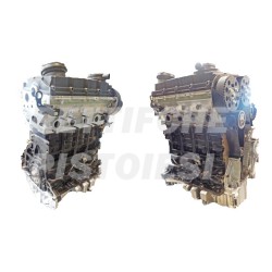 Audi A4   2000 TDI  Motore Revisionato Semicompleto BVF