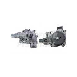 Pompa Acqua 10914
