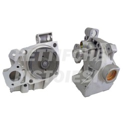 Pompa Acqua 10275