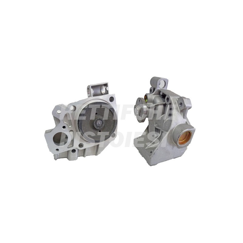 Pompa Acqua 10275