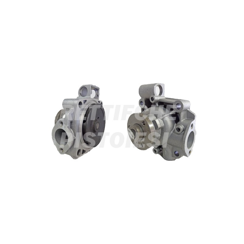 Pompa Acqua 10317