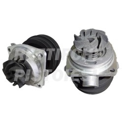 Pompa Acqua 10620