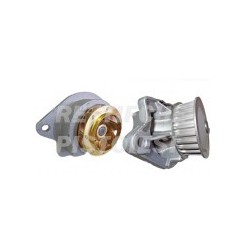 Pompa Acqua 10676