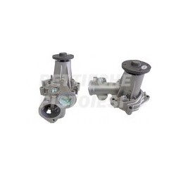 Pompa Acqua 10700