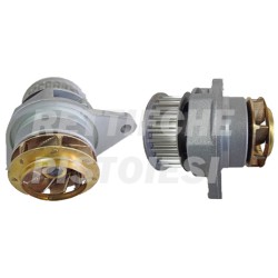 Pompa Acqua 10765