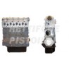 Fiat Ducato 2500 TDI Motore Revisionato Semicompleto 814047