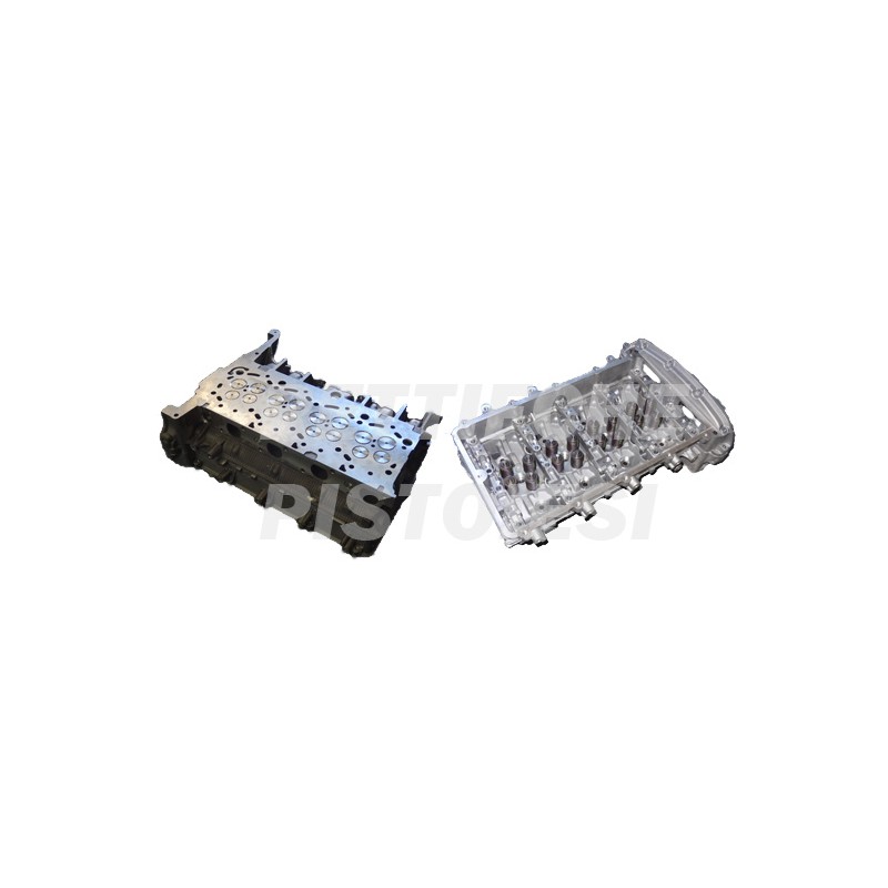 Ford Transit 2400 TDDi Testa Nuova Semicompleta D2FA