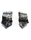 Suzuki 1900 DS Teilüberholt Motor DHU