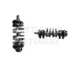 Albero Motore Nuovo Ford 1300 Multijet