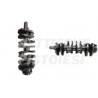 Albero Motore Nuovo Ford 1300 Multijet