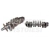 Albero Motore Nuovo Mazda 2000 TDI RF