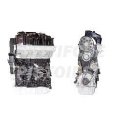 Volkswagen 2000 TDI Motore Revisionato Semicompleto BRT