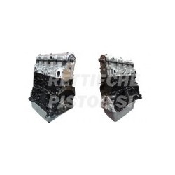 Peugeot 1900 TD  Motore Revisionato Semicompleto DHW