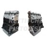 Peugeot 1900 TD  Motore Revisionato Semicompleto DHW
