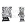 Mini Cooper D 1600 HDI 16v Motore Revisionato Semicompleto D16