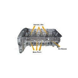 Ford 2400  Duratork TDCi Testa Nuova Nuda H9FA