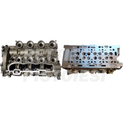 Ford 1600 16v Neuer nackter Kopf