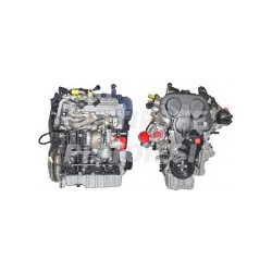 Volkswagen 2000 TDI 16V Motore Nuovo Completo BKD