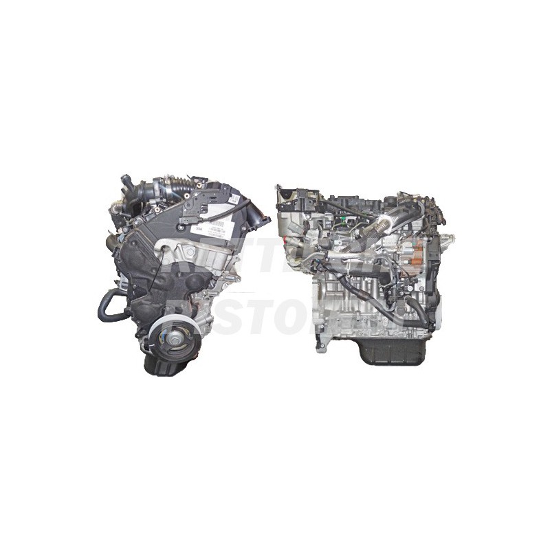 Ford 1600 HDI 8v Motore Revisionato semicompleto T1DA