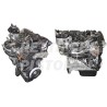 Ford 1600 TDCI 8v Motore Nuovo Completo T1GA
