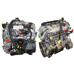 Iveco 3000  Motore Nuovo Completo F1CE0481F