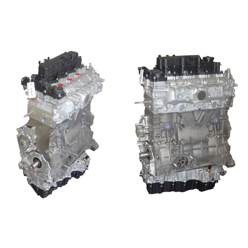 Ford 2.000 TDCi Motore Revisionato semicolpeto AH02