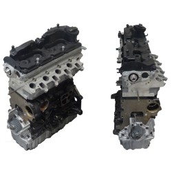 Audi 1600 TDCI Motore Revisionato Semicompleto CAY