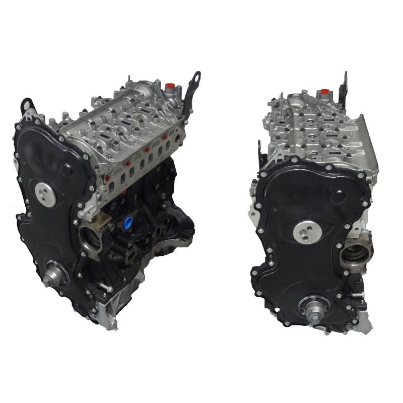 Nissan 1600  Motore Revisionato Semicompleto R9MD452