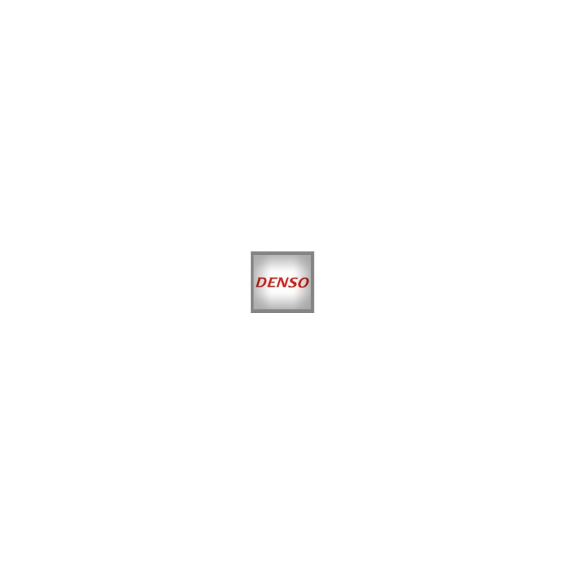 Denso Pompe Commonrail revisionate