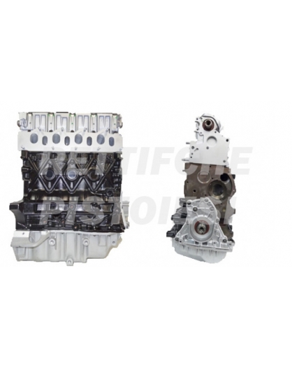 Suzuki 1900 DDIS Teilüberholt Motor F9Q B2