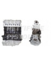 Suzuki 1900 DDIS Teilüberholt Motor F9Q B2