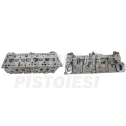 Peugeot 1900 D Testa Nuova Nuda