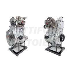 Smart 700 Benzina Motore Revisionato con turbina nuova 15