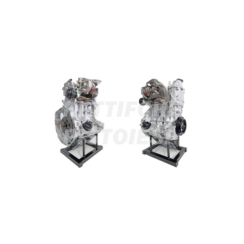 Smart 700 Benzina Motore Revisionato con turbina nuova 15