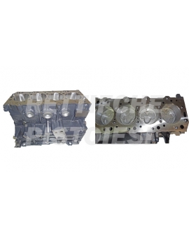 Hyundai 2500 TD Motorblock neu komplett D4BF D4BH