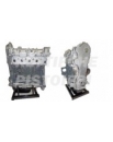 Fiat 1300 multijet Teilüberholt Motor 199A9000