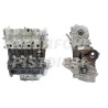 Chevrolet 2000 VDCI Motore Revisionato Semicompleto Z20S1