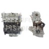 Chevrolet 2000 VDCI Motore Revisionato Semicompleto Z20S1