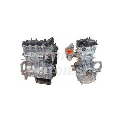 Ford 1600 HDI 16v Motore Revisionato completo G8DA